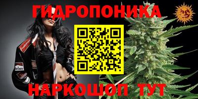 мескалин Аргун